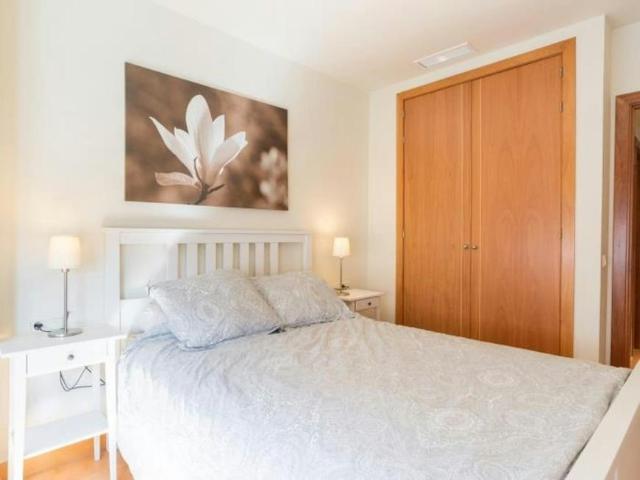 Apartamentos 1 Dormitorio Málaga Málaga ES103244305