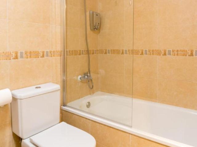 Apartamentos 1 Dormitorio Malaga Malaga ES103286602