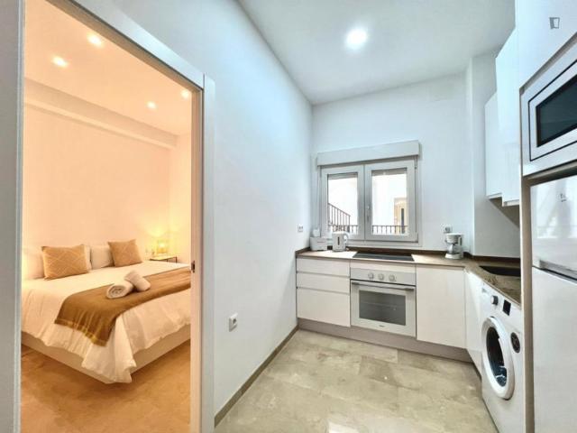 Apartamentos 1 Dormitorio Malaga Malaga ES103286830