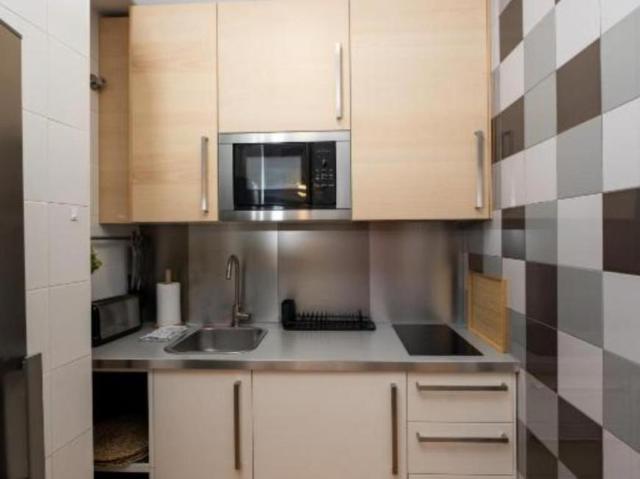 Apartamentos 1 Dormitorio Malaga Malaga ES103286030