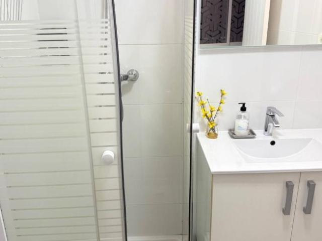 Apartamentos 1 Dormitorio Malaga Malaga ES103304869