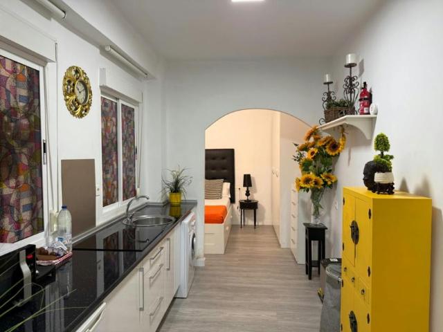 Apartamentos 1 Dormitorio Málaga Málaga ES103338926