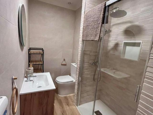 Apartamentos 1 Dormitorio Málaga Málaga ES104471813