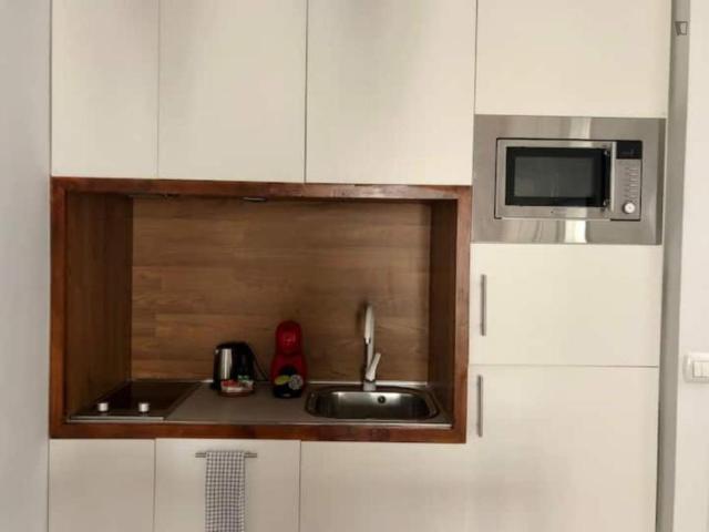 Apartamentos 1 Dormitorio Málaga Málaga ES104755944