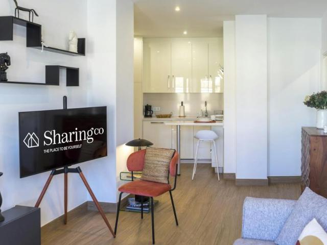 Apartamentos 1 Dormitorio Málaga Málaga ES104783525