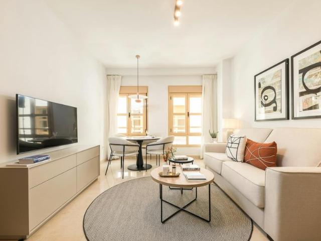 Apartamentos 1 Dormitorio Málaga Málaga ES104783793