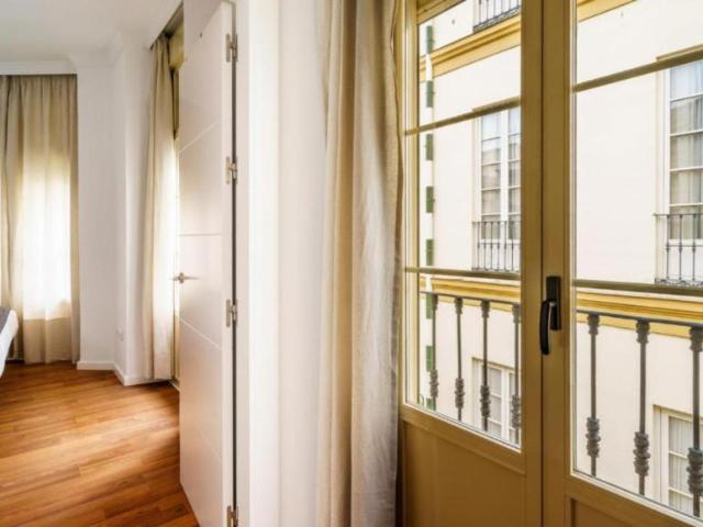 Apartamentos 1 Dormitorio Málaga Málaga ES104800124