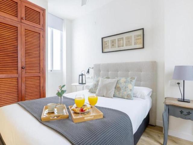 Apartamentos 1 Dormitorio Málaga Málaga ES104828797