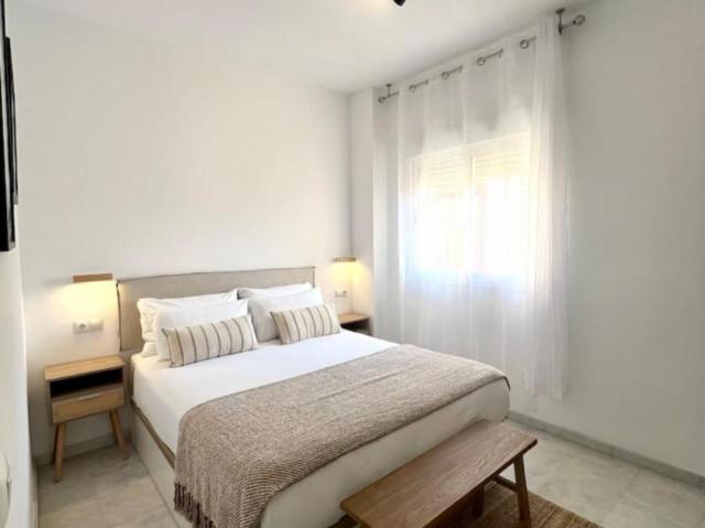 Apartamentos 1 Dormitorio Málaga Málaga ES104880199