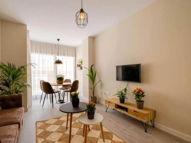 Apartamentos 1 Dormitorio Málaga Málaga ES104364495