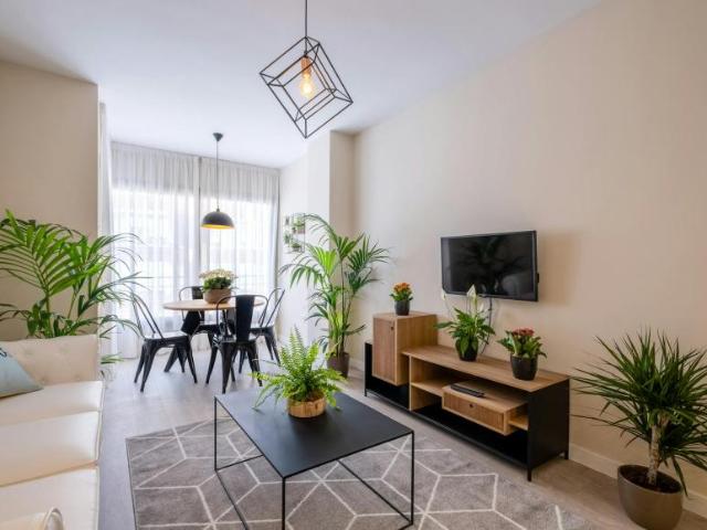 Apartamentos 1 Dormitorio Málaga Málaga ES104364496