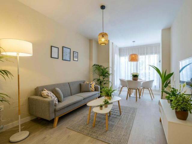 Apartamentos 1 Dormitorio Málaga Málaga ES104364497
