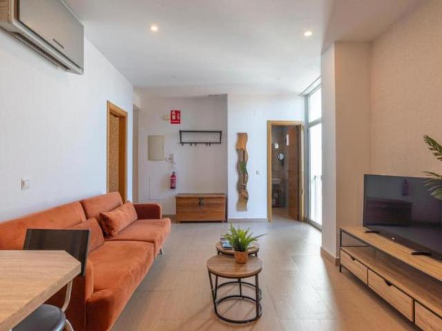 Apartamentos 1 Dormitorio Málaga Málaga ES104369075