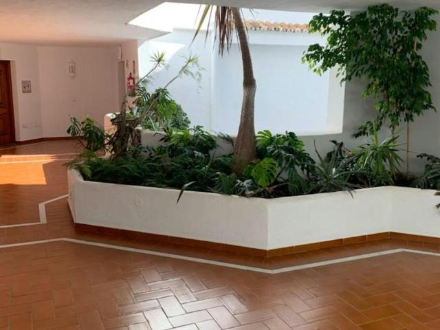 Apartamentos 1 Dormitorio Marbella Marbella ES102854529