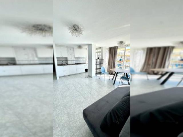 Apartamentos 1 Dormitorio Alicante Alicante ELS100335388