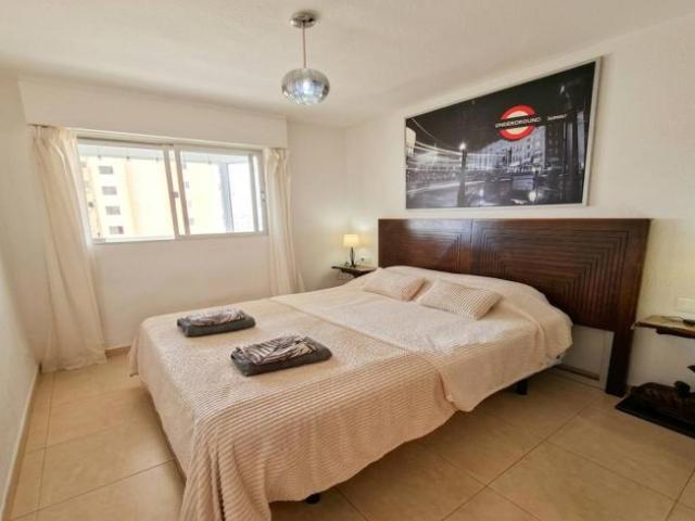 Apartamentos 1 Dormitorio Alicante Alicante ELS101776244