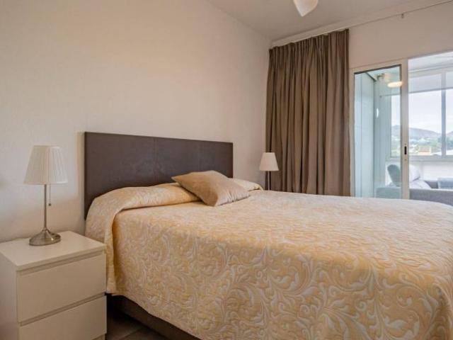 Apartamentos 1 Dormitorio Alicante Alicante ELS102249322