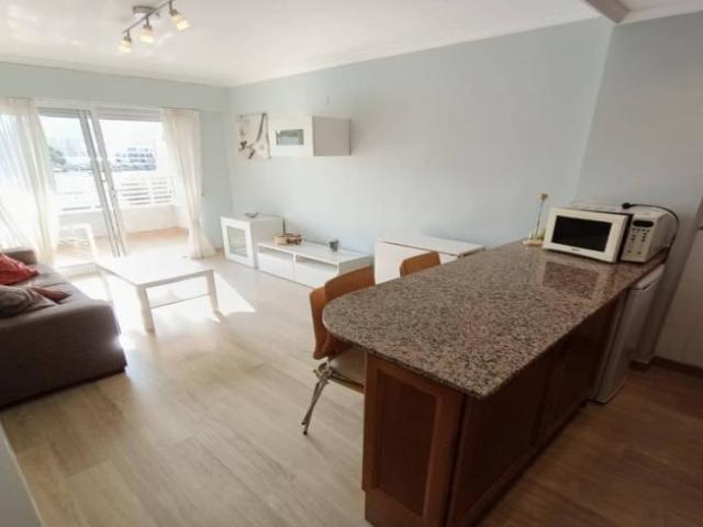 Apartamentos 1 Dormitorio Alicante Alicante ES104565046