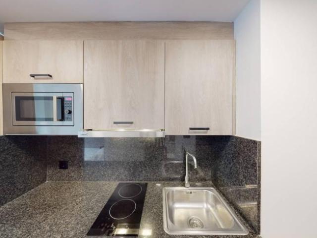 Apartamentos 1 Dormitorio Alicante Alicante ES101822355
