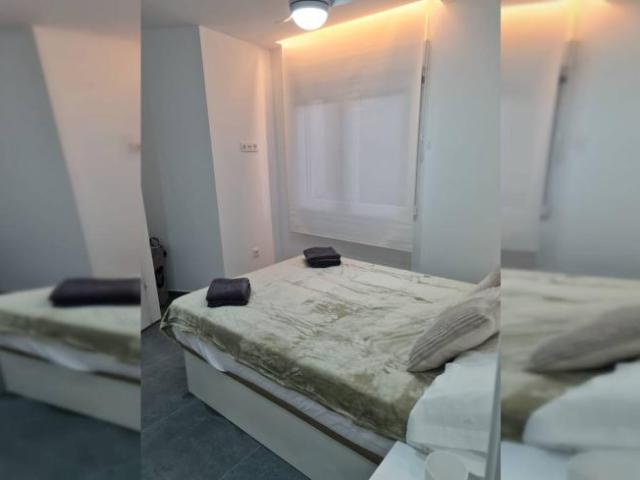 Apartamentos 1 Dormitorio Alicante Alicante ES101846534