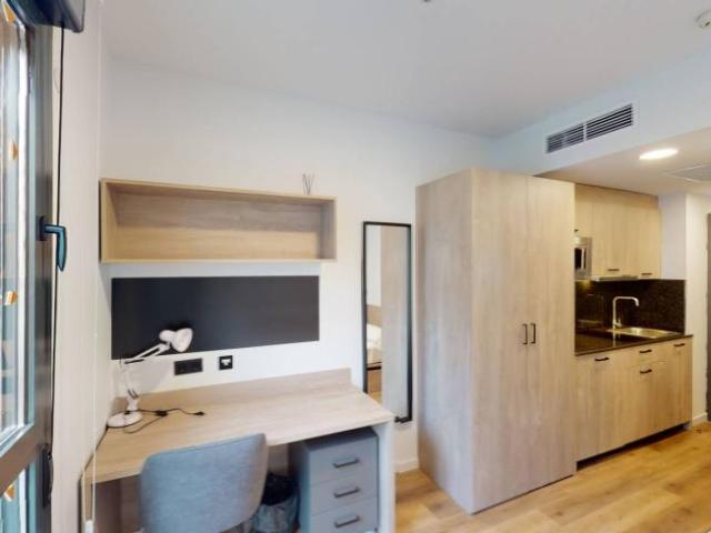 Apartamentos 1 Dormitorio Alicante Alicante ES101851518