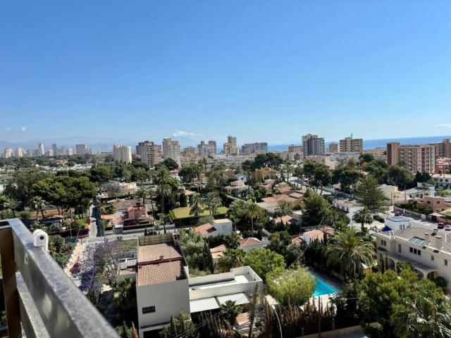 Apartamentos 1 Dormitorio Alicante Alicante ES102850764