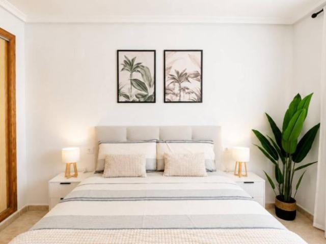Apartamentos 1 Dormitorio Alicante Alicante ES103414657
