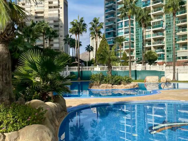Apartamentos 1 Dormitorio Alicante Alicante ES97881351