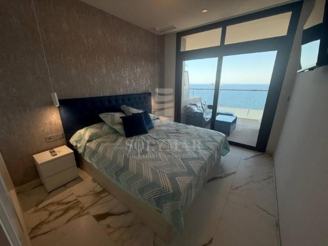 Apartamentos 1 Dormitorio Alicante Communidad Valencia ELS101695593