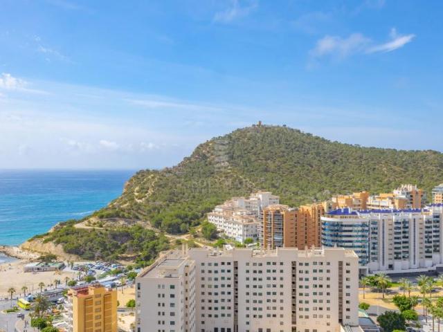 Apartamentos 1 Dormitorio Alicante Communidad Valencia ELS101953139
