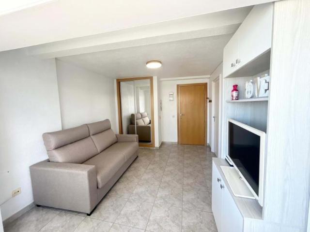 Apartamentos 1 Dormitorio Alicante Communidad Valencia ELS81431357