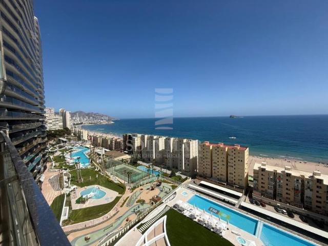 Apartamentos 1 Dormitorio Alicante Communidad Valencia ELS96347982