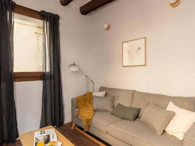Apartamentos 1 Dormitorio Barcelona Barcelona ELS94501307