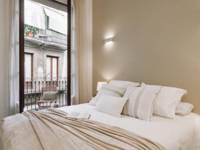 Apartamentos 1 Dormitorio Barcelona Barcelona ES88748984