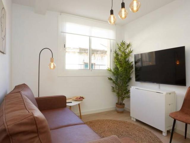 Apartamentos 1 Dormitorio Barcelona Barcelona ES91291556