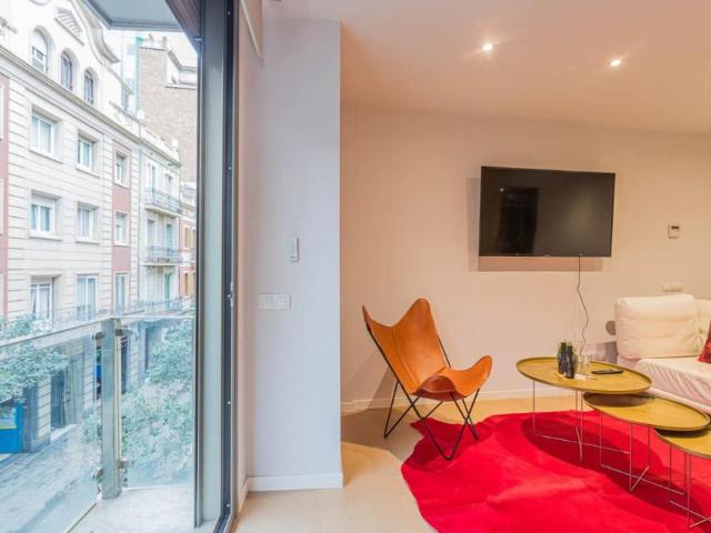 Apartamentos 1 Dormitorio Barcelona Barcelona ES91640454