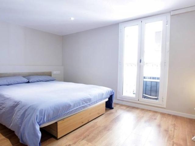 Apartamentos 1 Dormitorio Barcelona Barcelona ES100417214