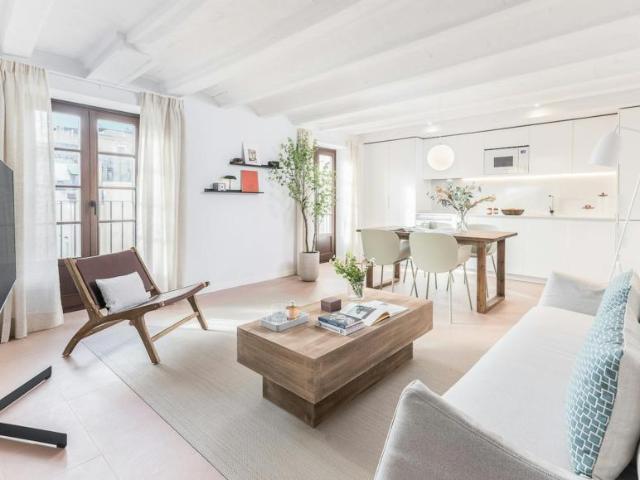 Apartamentos 1 Dormitorio Barcelona Barcelona ES100874859