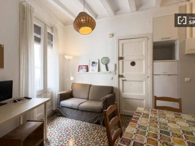 Apartamentos 1 Dormitorio Barcelona Barcelona ES100124340