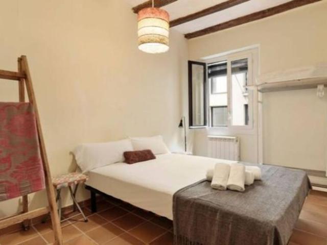 Apartamentos 1 Dormitorio Barcelona Barcelona ES100177869