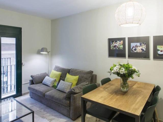 Apartamentos 1 Dormitorio Barcelona Barcelona ES100178271