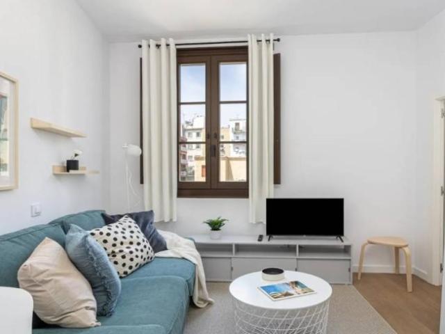 Apartamentos 1 Dormitorio Barcelona Barcelona ES100255445