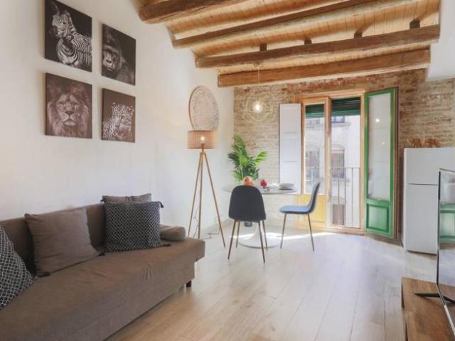 Apartamentos 1 Dormitorio Barcelona Barcelona ES101735424