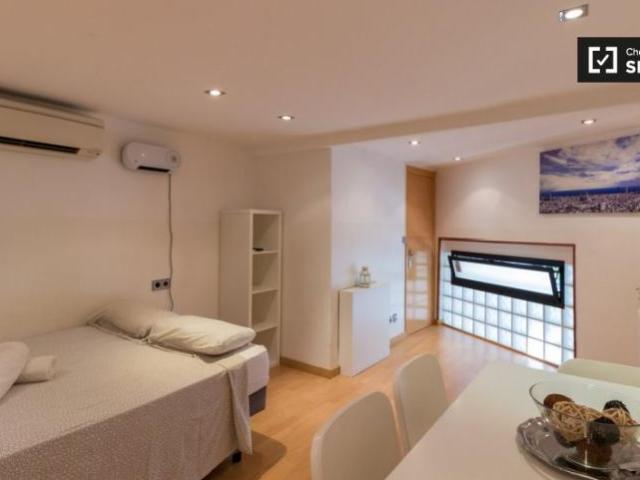 Apartamentos 1 Dormitorio Barcelona Barcelona ES101737040