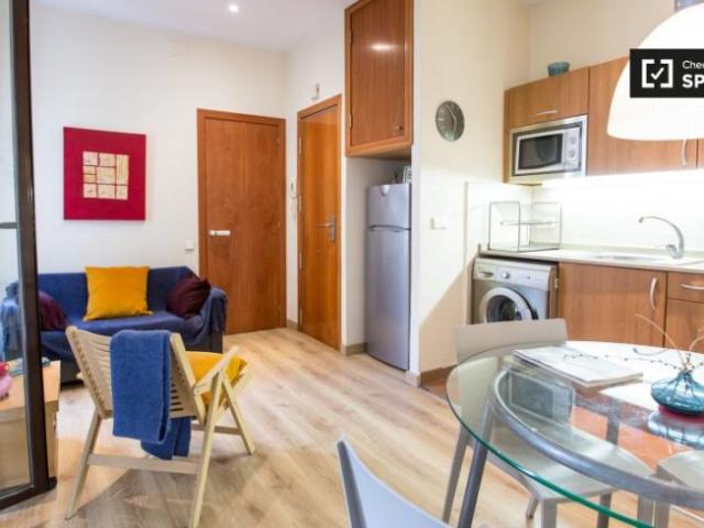 Apartamentos 1 Dormitorio Barcelona Barcelona ES101765755