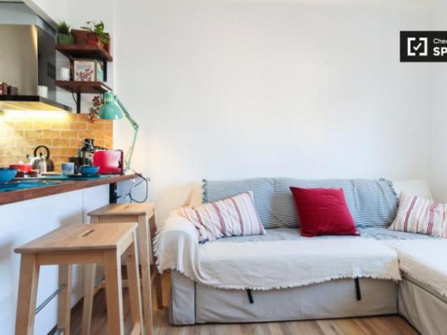 Apartamentos 1 Dormitorio Barcelona Barcelona ES101765858