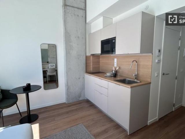 Apartamentos 1 Dormitorio Barcelona Barcelona ES101765117