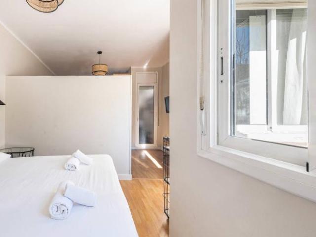Apartamentos 1 Dormitorio Barcelona Barcelona ES101771297