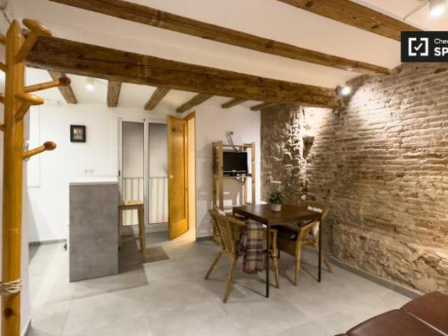 Apartamentos 1 Dormitorio Barcelona Barcelona ES101794293