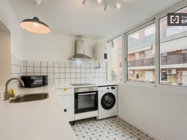 Apartamentos 1 Dormitorio Barcelona Barcelona ES101807719